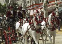 -AMBIENTE_FERIA_24.jpg de Reporteros ABC--0RUL2589.jpg-