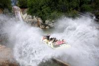 -040408_fguzman_-_isla_mag_2.jpg de Reporteros ABC-