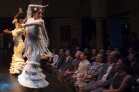 NARUHITO VISITA MUSEO DE BAILE FLAMENCO EN SEVILLA-0NVA4769.jpg-