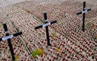 Fallen leaves lie amongst crosses and poppies in the Field ofRemembrance in the grounds of Westminster Abbey in London-0IQT2266.jpg-