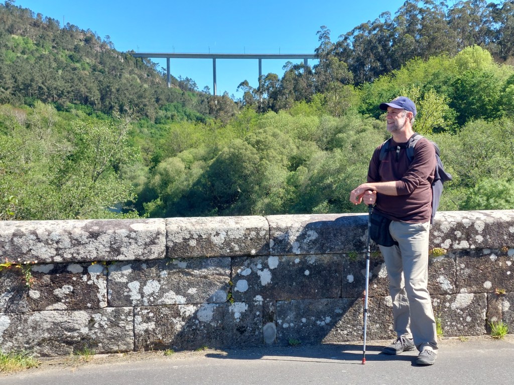 El camino está lleno de&nbsp;altibajos