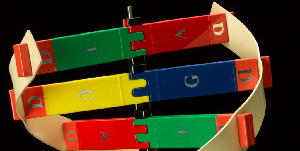 Niños más inteligentes