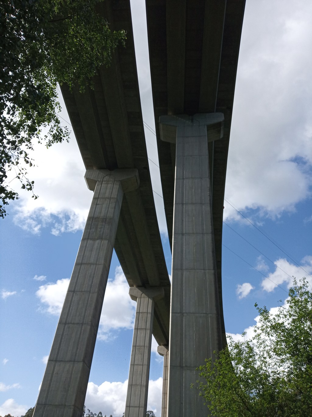 Acelerar viene de ‘celeritas’